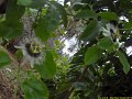 Magnifique Tanzanie-241